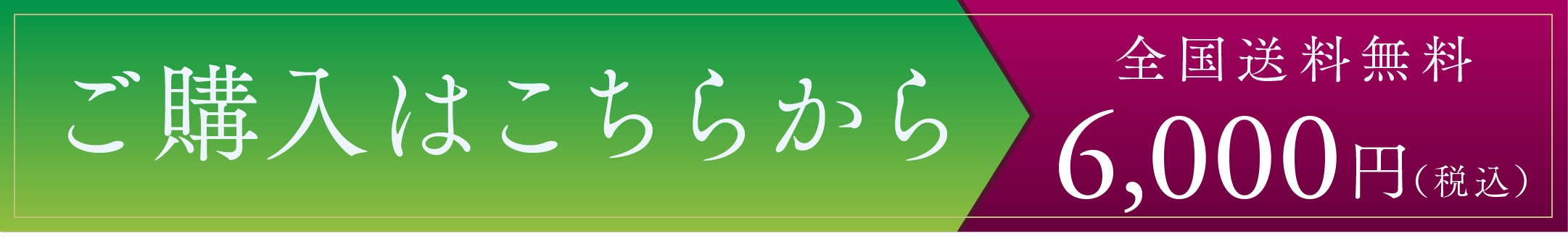 EYEVITAアイビタのご購入