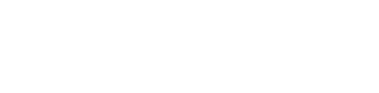 アイビタ 大学の研究室で開発されたペット用マルチミスト。